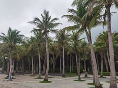 -福田红树林生态公园