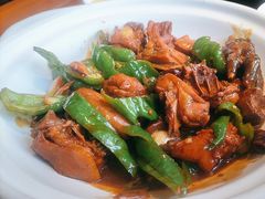 -鸽舞笙平金牌烧鸽子·融合菜(鲁谷店)