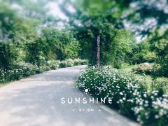 -鹅湖玫瑰文化园