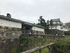 -名古屋城