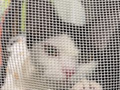 -艾吉宠物医院·疑难杂症转诊中心·猫友好(碧江路院)