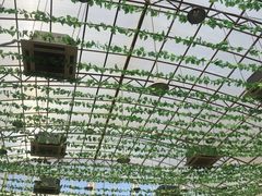 -燕北云山·农家菜·灶台鱼(密云溪翁庄店)