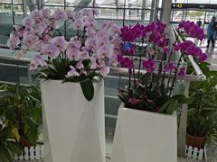 -广州白云国际机场-T2航站楼