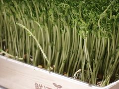 -领鲜天下·焗海鲜·花胶鸡(天目里店)