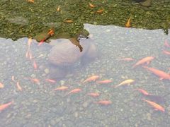 -清漾毛氏文化村