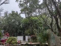 -深圳国际园林花卉博览园