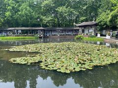 -一江春水·杭帮臻宴(三台山店)