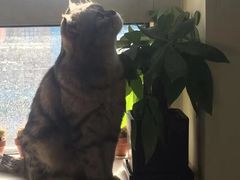 -炼呗运动康复·健身工作室(紫竹桥店)