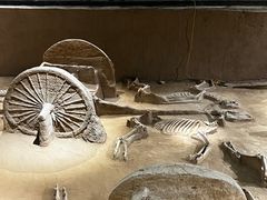 -洛阳周王城天子驾六博物馆