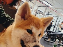-YCHL Studios健身工作室(市二宫店)