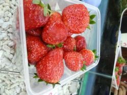 android_upload_pic-小左美发