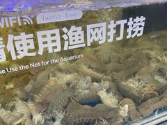 -盒马X会员店(上海森兰商都店)