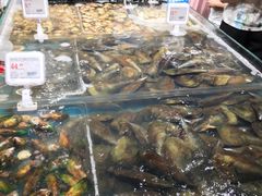 扇贝-盒马鲜生(曜一城店)