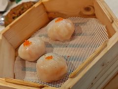 笋尖虾饺皇-粤来记·啫啫煲·点心(日月光店)