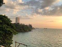 -卷心菜和避孕套餐厅(Pattaya)