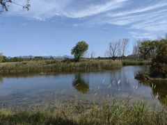 -野鸭湖国家湿地公园