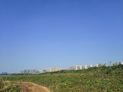 -UPUPKAFE  立咖啡(浏城桥店)