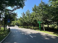 -长白岛森林公园