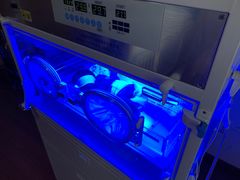 -爱的果实月嫂育婴师(世纪东方店)