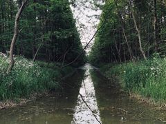 -黄海国家森林公园