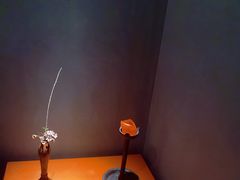 -觀芷隐轩