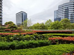 -绿城千岛湖喜来登度假酒店