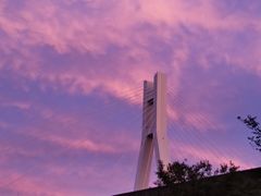 -富力建发尚悦居