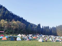 -武陵山森林公园
