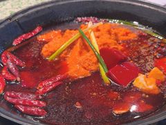 -五里关火锅(牛市口店)