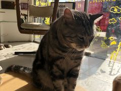 -平行世界·猫咖(首经贸店)