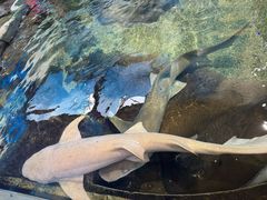 -鸿通城购物中心