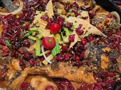 -老板恋上鱼(恒隆广场店)