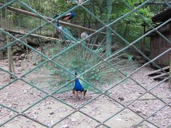 -藏龙百瀑风景区