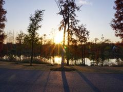 -上海长兴岛郊野公园