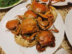 -禾斗海鲜自助(市南银座店)
