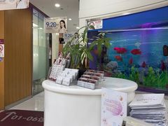 -雅悦齿科(顾村公园店)