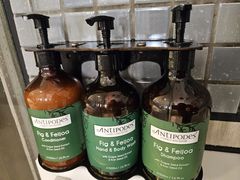 -樟宜机场皇冠假日酒店 （SG Clean） - IHG 旗下酒店