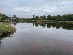 -西海子公园