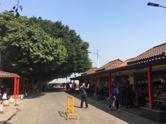 -大湾区中央湿地公园-十九涌
