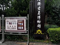 -洛阳古墓博物馆