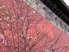 -东华门大街小区