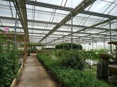 景点-观光南瓜园