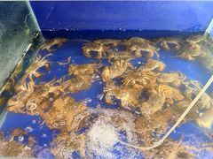 -阳澄湖大闸蟹·琼灵阁牌品牌连锁(吴中总店)