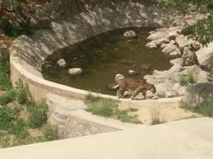 -辛玛王国游乐园