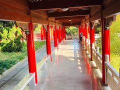 -开福禅寺