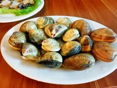 -凯华海鲜火锅·传承三十六年