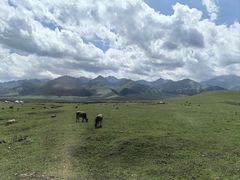 -新疆那拉提国家旅游度假区