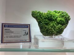 -中国地质大学逸夫博物馆