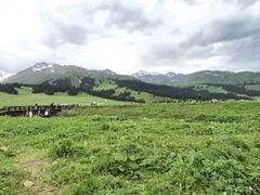 -新疆那拉提国家旅游度假区
