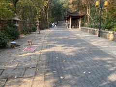 -灵岩山风景区